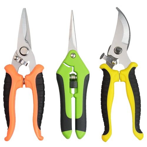Pruning Shears Gardening Scissors Tools: 3pcs Outdoors&Indoor Garden Clippers, Rose Snips, Plant Clippers, Wood Pruner, Gardener Work Accessories for Flower Arrangement, Yard Landscaping (Multi-color) | Amazon (US)