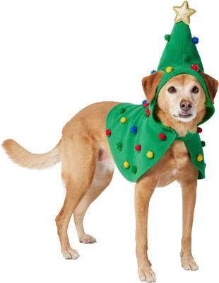 Frisco Polar Fleece Christmas Tree Dog & Cat Cape, Medium/Large | Chewy