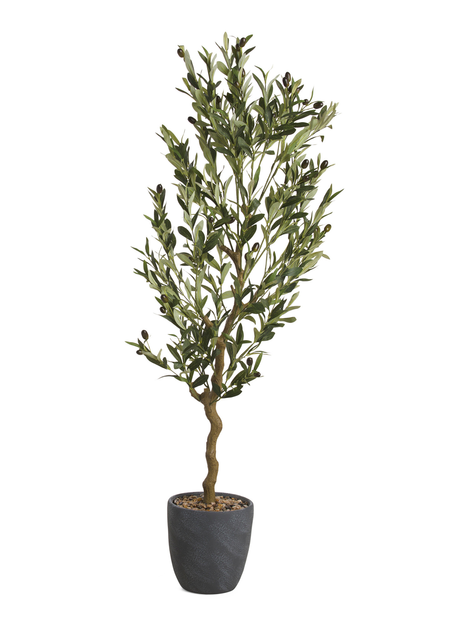 54in Olive Tree In Cement Pot | TJ Maxx