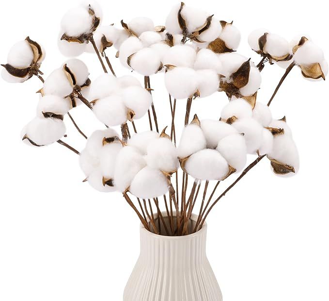CEWOR 20pcs Cotton Stems, Fake Cotton Flowers Dried Cotton Picks Stalks Plants, Artificial Cotton... | Amazon (US)