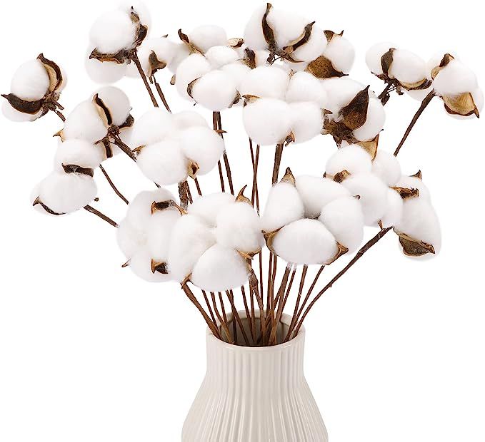 CEWOR 20pcs Cotton Stems, Fake Cotton Flowers Dried Cotton Picks Stalks Plants, Artificial Cotton... | Amazon (US)