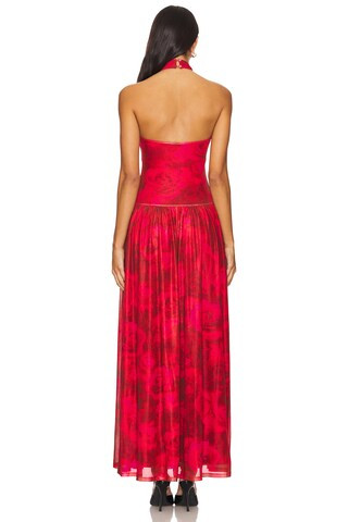 Georgina Maxi Dress in Red Floral | Revolve Clothing (Global)