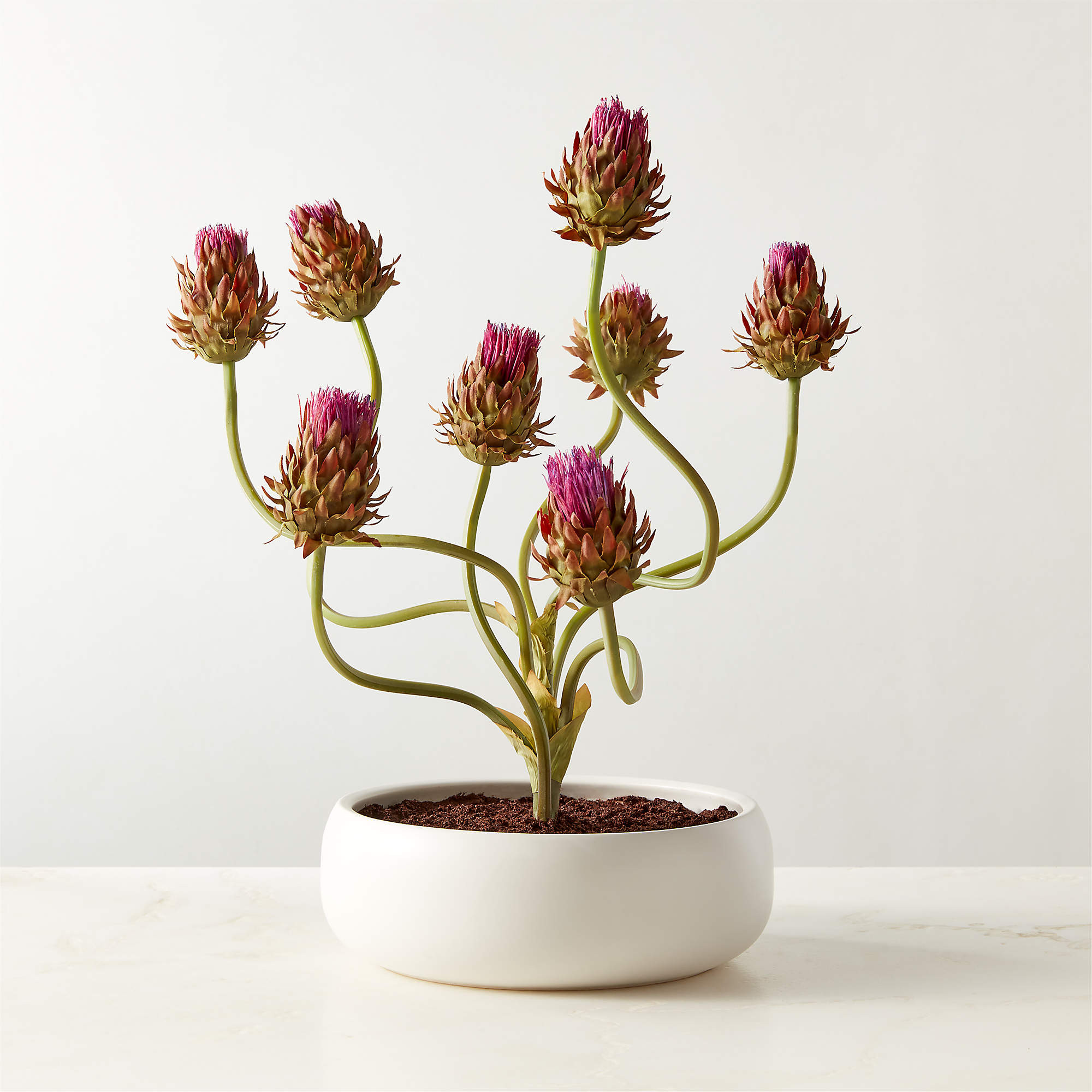 Faux Potted Thistle Plant in White Ceramic Pot 26" + Reviews | CB2 | CB2