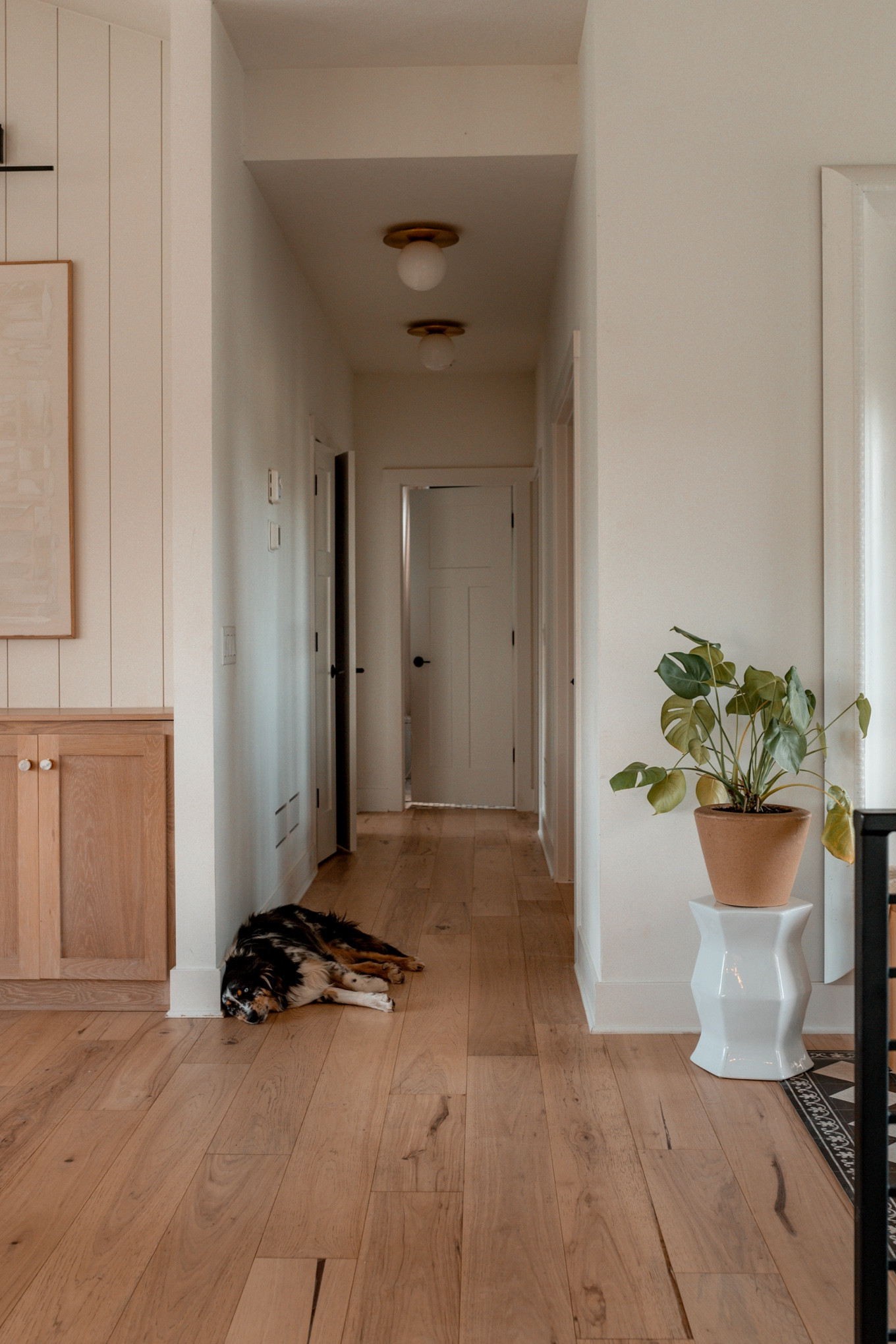Simple + Neutral Home Vibes.

Plant stand
Art
Hallway lighting (flush mounts) - our exact ones are sold out, but this brand is the same one on Amazon. Also listed West Elm for similar vibes. 

#LTKHome