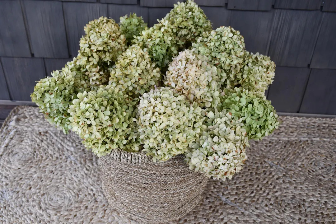 Dried Hydrangea Stems, Fall Flower Decor, Wedding Flowers, Fall Table Decor, Everlasting Hydrange... | Etsy (US)