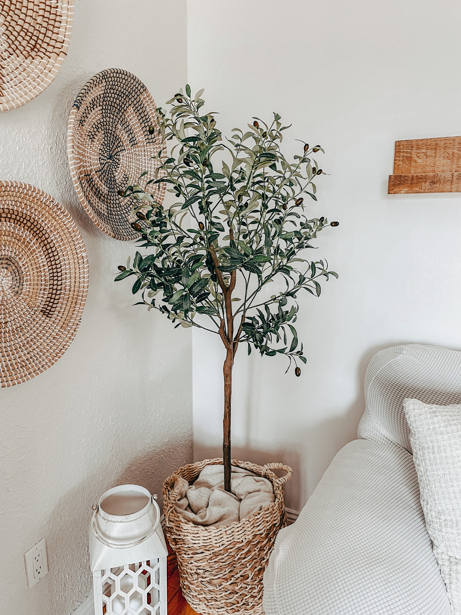 Cute and great quality olive tree 🫶🏻 Get a 20$ off coupon if your a prime member 💕 

#homedecor #olivetree

#LTKhome #LTKunder50 #LTKstyletip