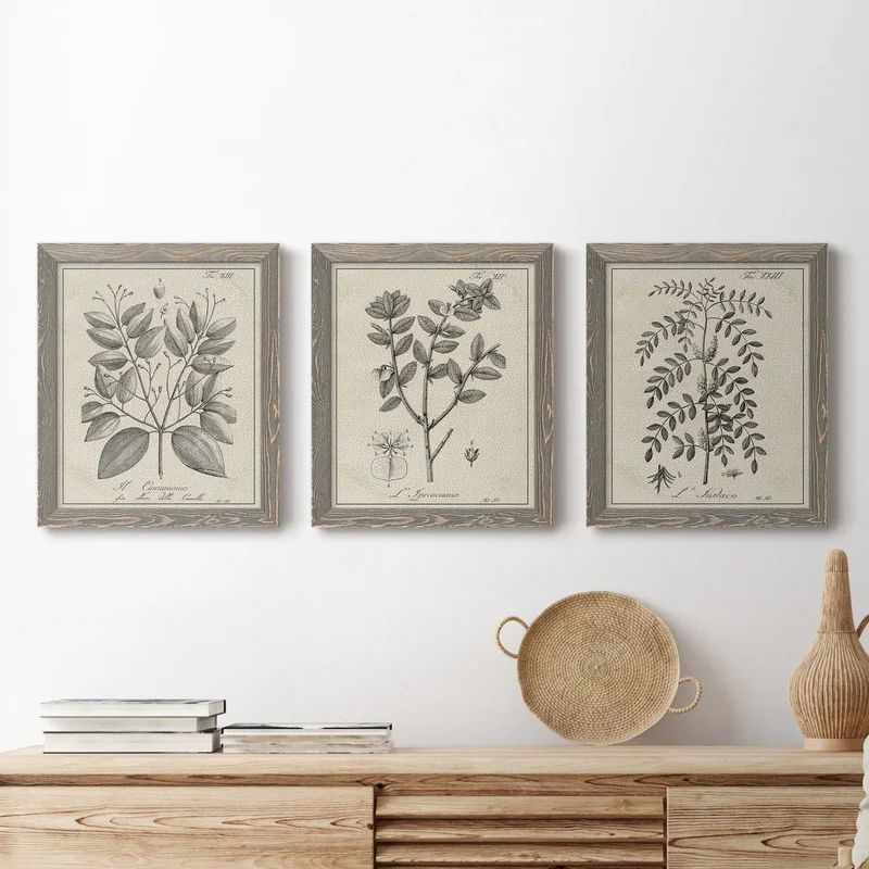 Antique Black and White Botanical VII - 3 Piece Picture Frame Drawing Print Set on Canvas | Wayfair North America