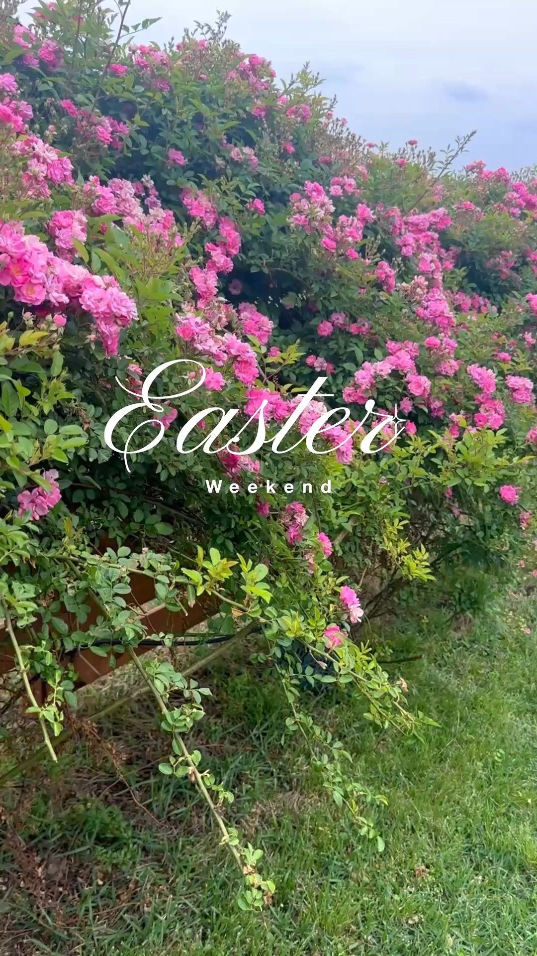 Happy Easter from my family to yours! 🥕🐰🍬🐇

#LTKKids #LTKStyleTip #LTKFindsUnder50