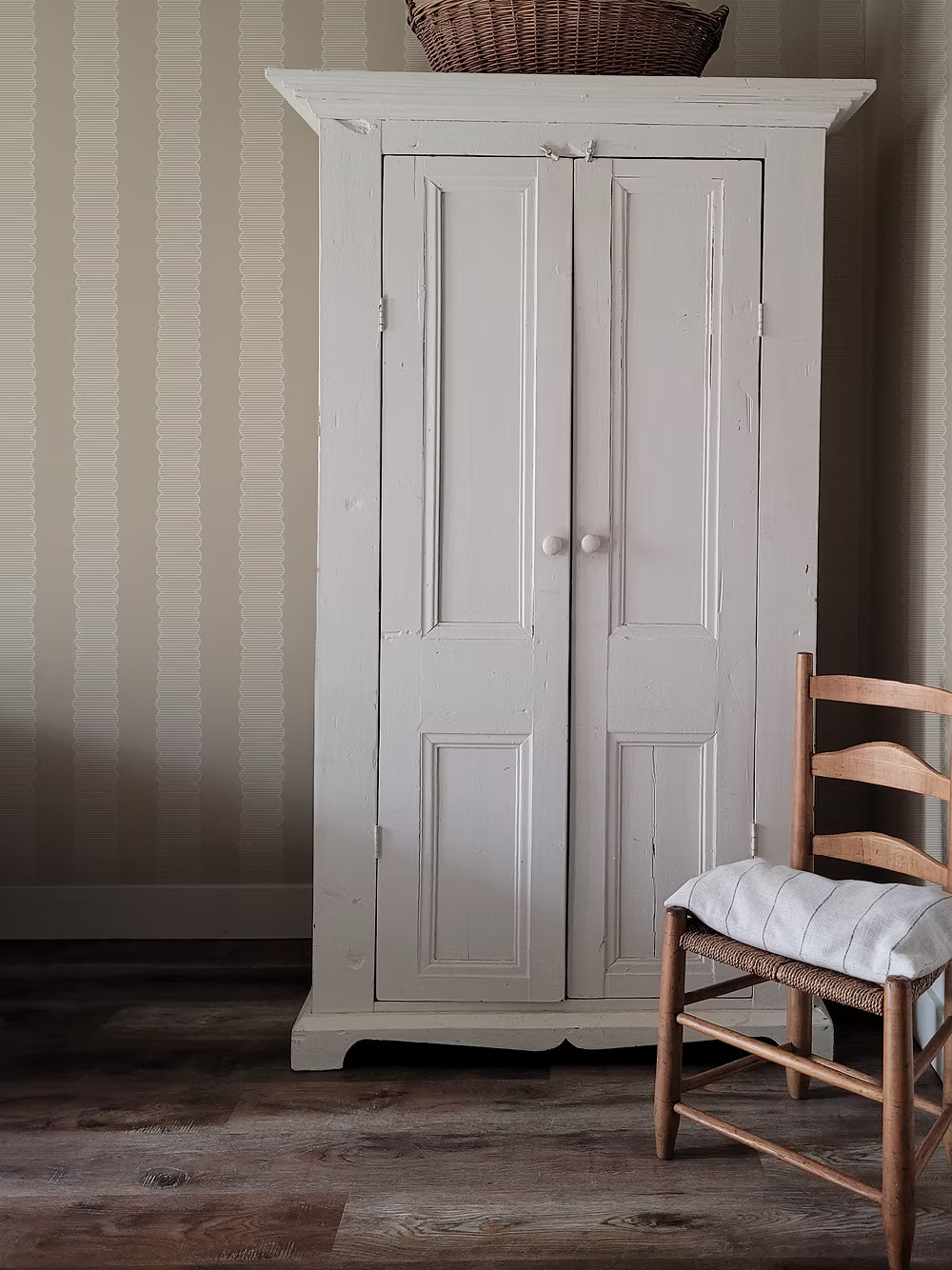 SCALLOPIA | Artza & co.