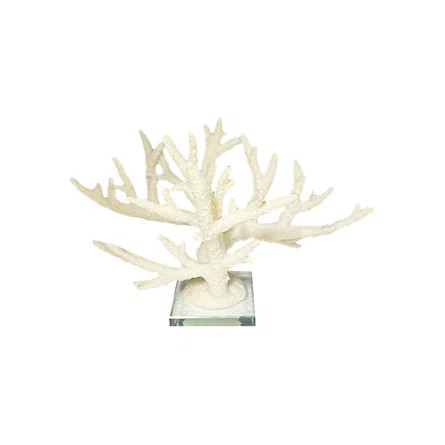Highland Dunes Cerca Coral Sculpture With Glass Base | Wayfair | Wayfair North America