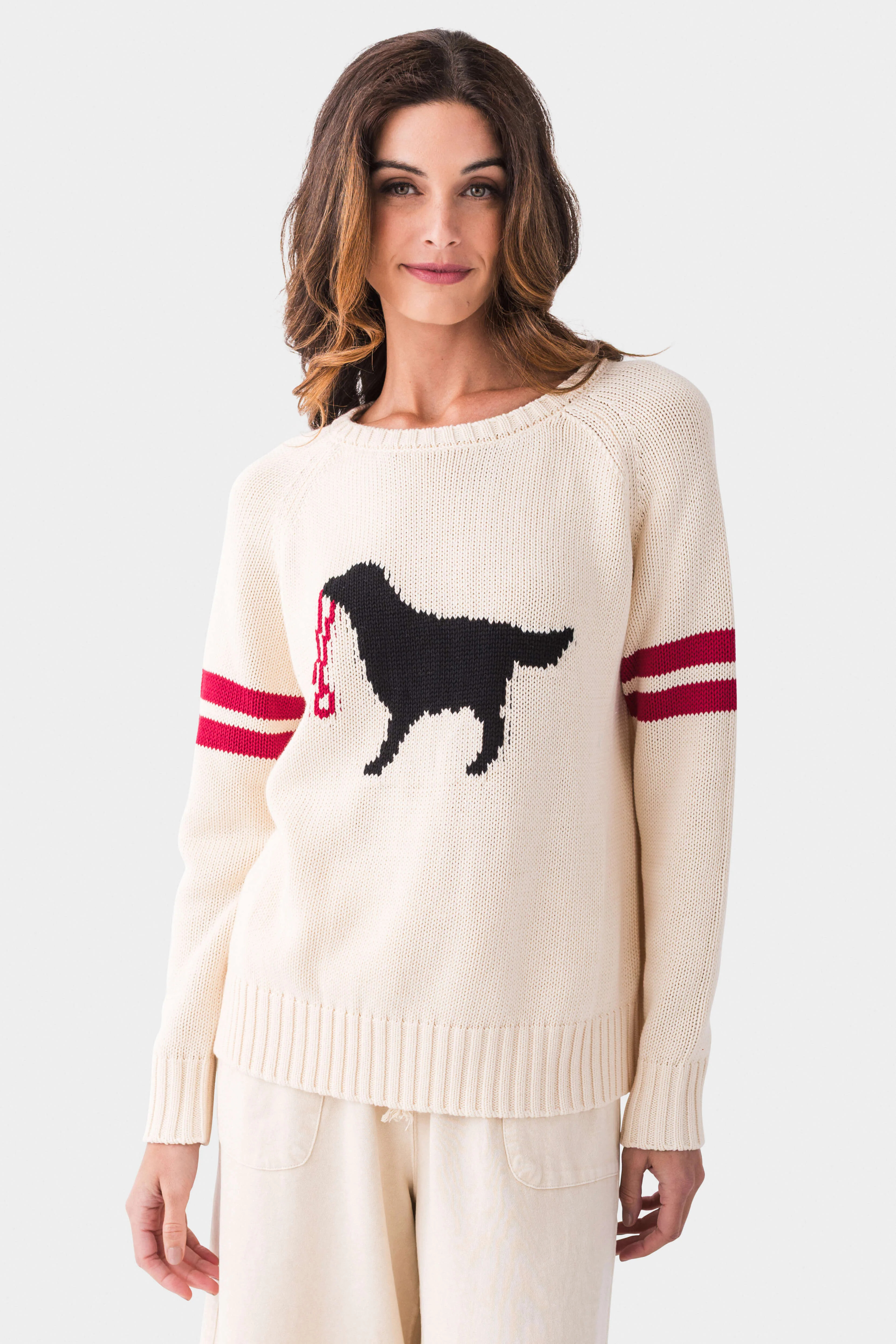 Pink Pineapple Black Dog Sweater | Social Threads