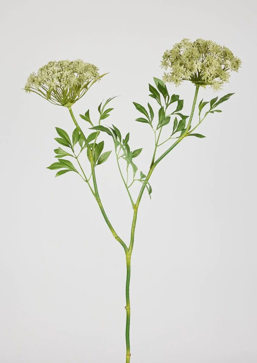 Fake Flowers & Artificial Queen Anne's Lace at Afloral | Afloral