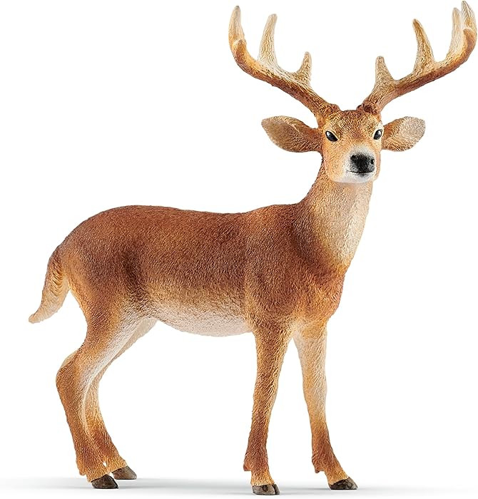 Schleich Wild Life Animal Figurine White-Tailed Buck | Amazon (US)
