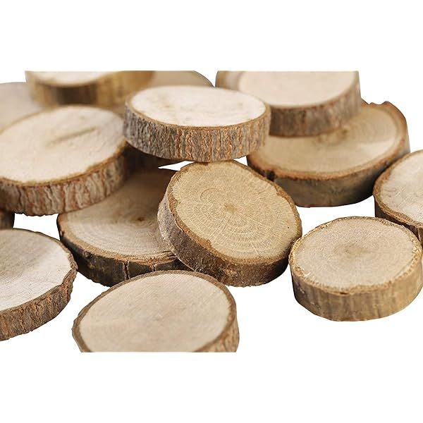 Mini Assorted Size Natural Color Tree Bark Wood Slices Round Log Discs for Arts & Crafts, Home Hangi | Amazon (US)