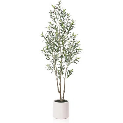 Altman Faux Olive Tree in White Planter, Lifelike Fake Olive Plant for Indoor and Outdoor Decor | Wayfair North America