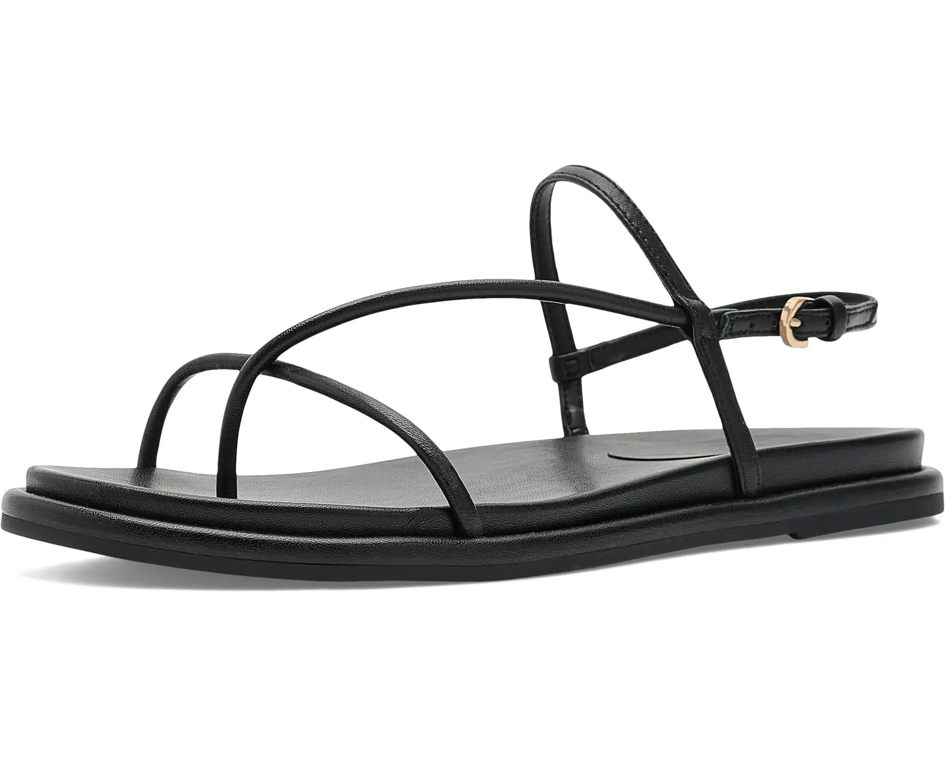 Women's Dolce Vita Dom | Zappos.com