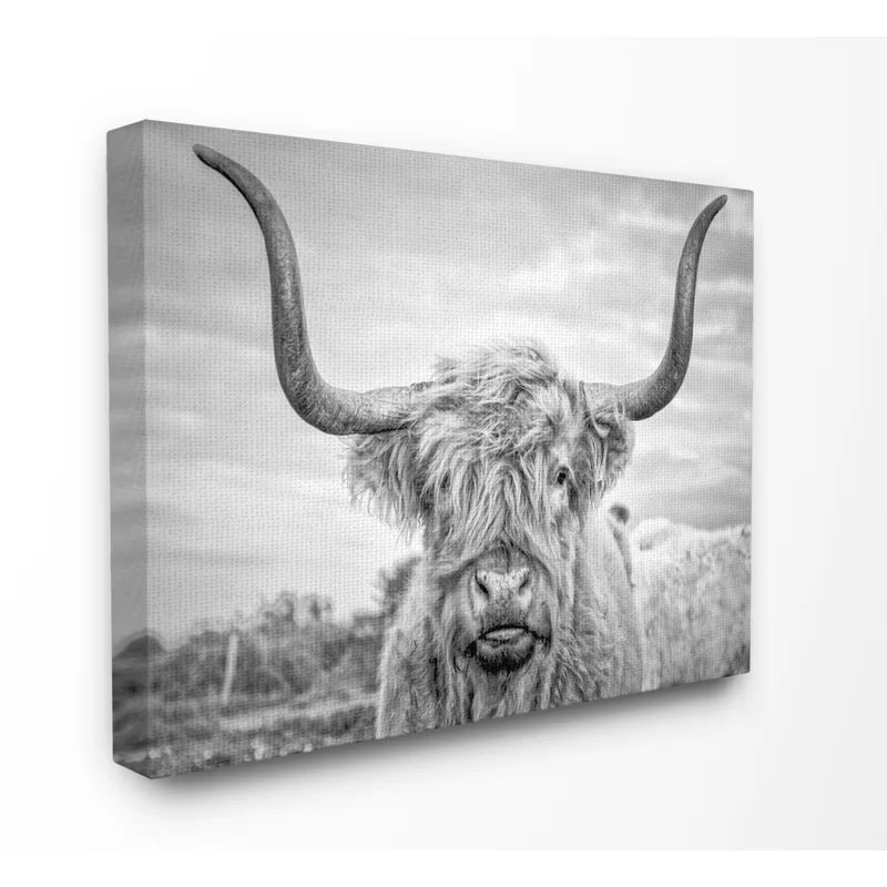 Highland Cow - Print on | Wayfair North America