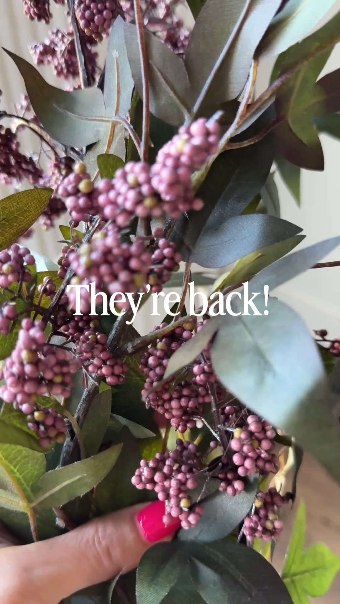 They’re back!  But it’s only a matter of time before they are gone again!  I used 4 stems in this vase, but could have done 5 for a fuller look.

#LTKHome #LTKSeasonal