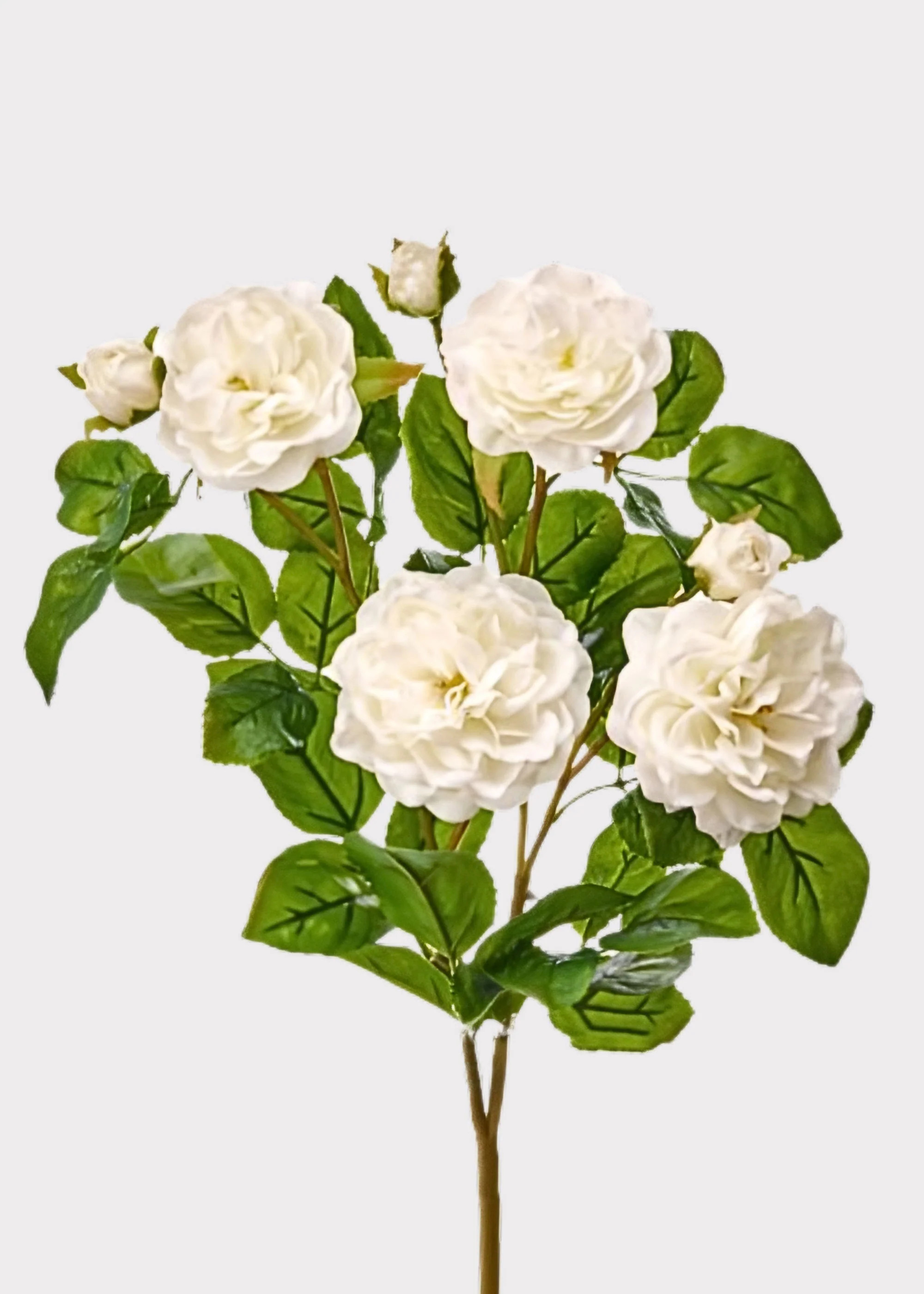 UV Treated Indoor/Outdoor Flowers White Real Touch Rose Bush - 17" | Afloral