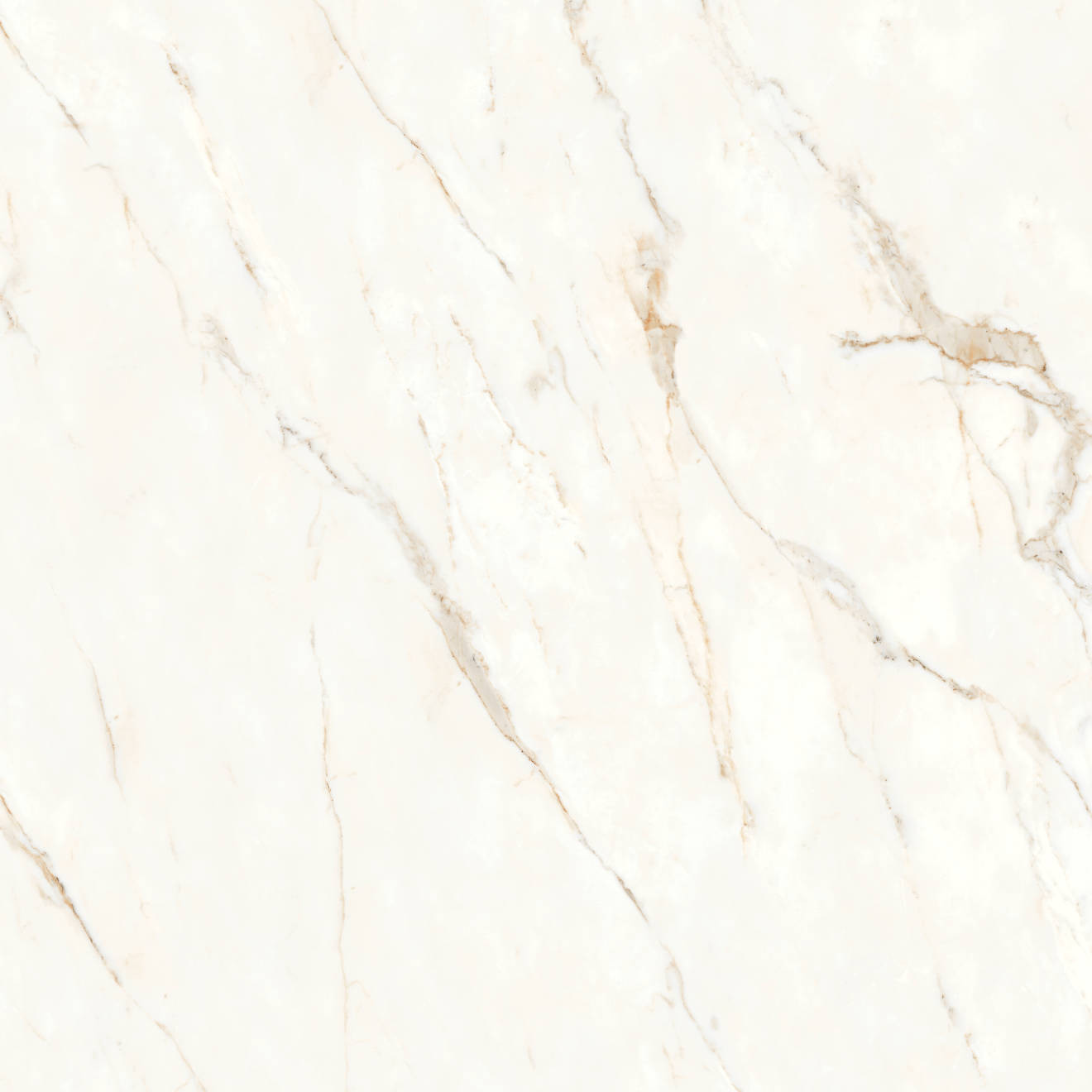 Magnifica Nineteen Forty-Eight 48" x 48" - 8mm Honed Porcelain Tile in Calacatta Oro | Bedrosians Tile and Stone