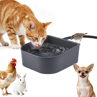 Heated Water Bowl For Indoor Pet, Hanging Dog Water Bowl For Kennel No Spill Heated Bowl For Chicken Coop Dogs Cats Rabbits Birds Small Animals Outdoo | Wayfair North America