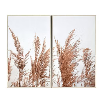 14X14 Set of 2 Pampas Grass | JCPenney