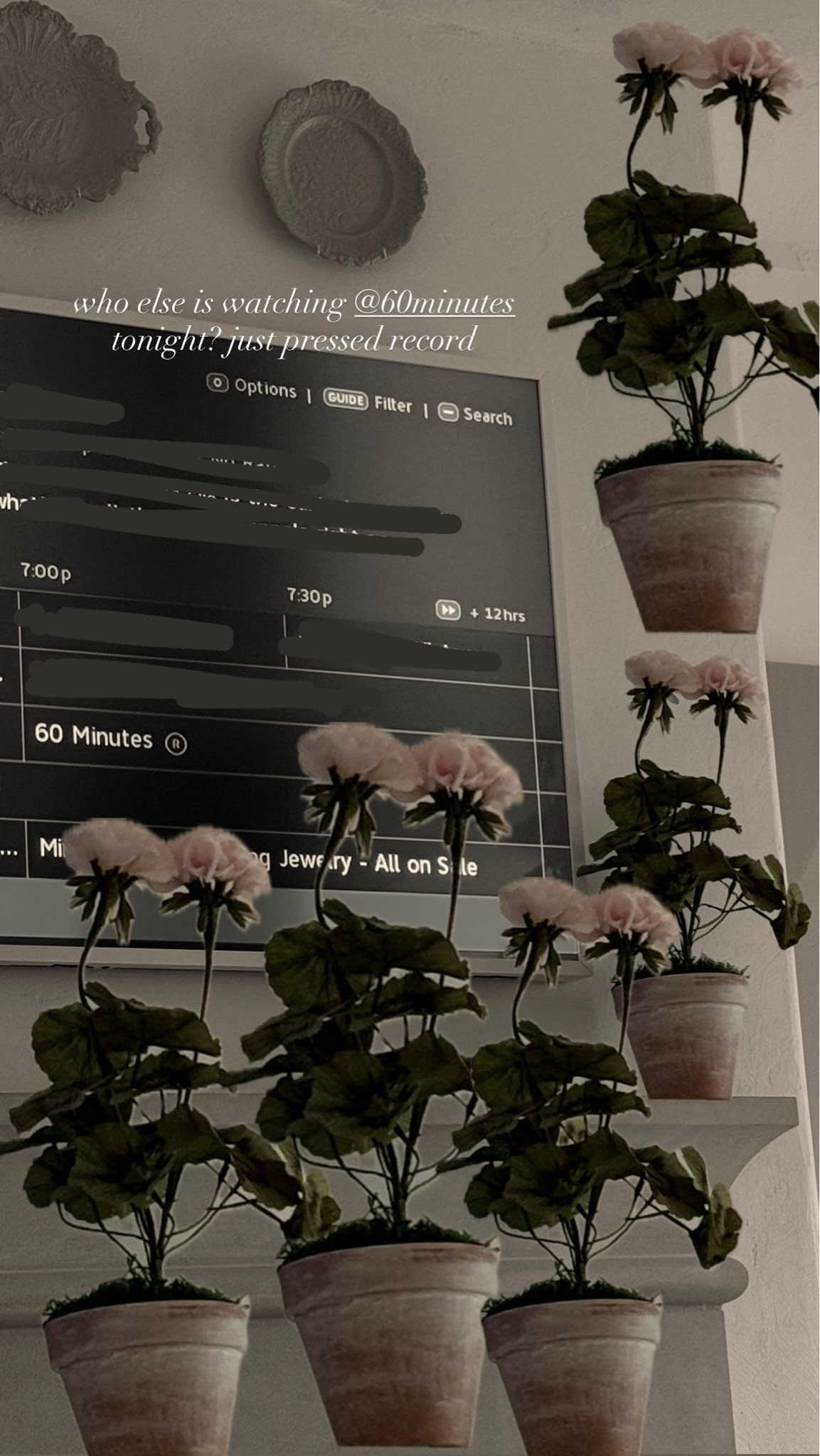 Prettiest paper flower! Under $200.

#LTKHome