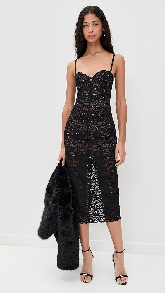 The Charlotte Lace Dress | Shopbop