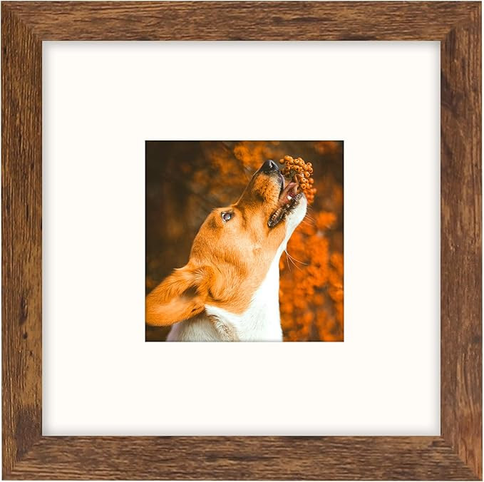 Brown 8x8 Frame with Mat for 4x4 Display, Desk Wall Square Photo Frame for Horizontal and Vertica... | Amazon (US)