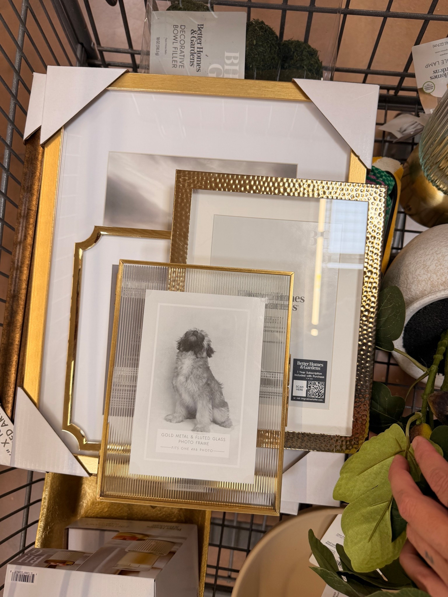 Ran to Walmart and found THESE 😍✨
The textures, the gold… it’s giving high-end gallery wall without the price tag.
I grabbed all 4 because I couldn’t choose 🙈

Linked them all for you 🤍
#ltkhome #walmartdecor #homefinds #neutralaesthetic #cozyvibes 

#LTKMothersDay