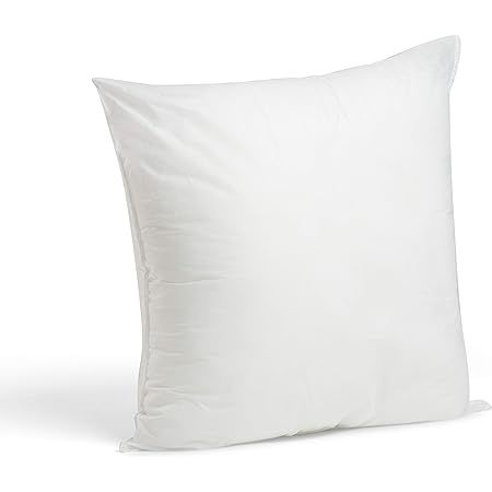 Foamily Throw Pillows Insert 22 x 22 Inches - Bed and Couch Decorative Pillow - Made in USA | Amazon (US)