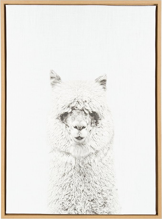 Kate and Laurel Sylvie Hairy Alpaca Framed Canvas by Simon Te Tai, 23x33, Natural | Amazon (US)