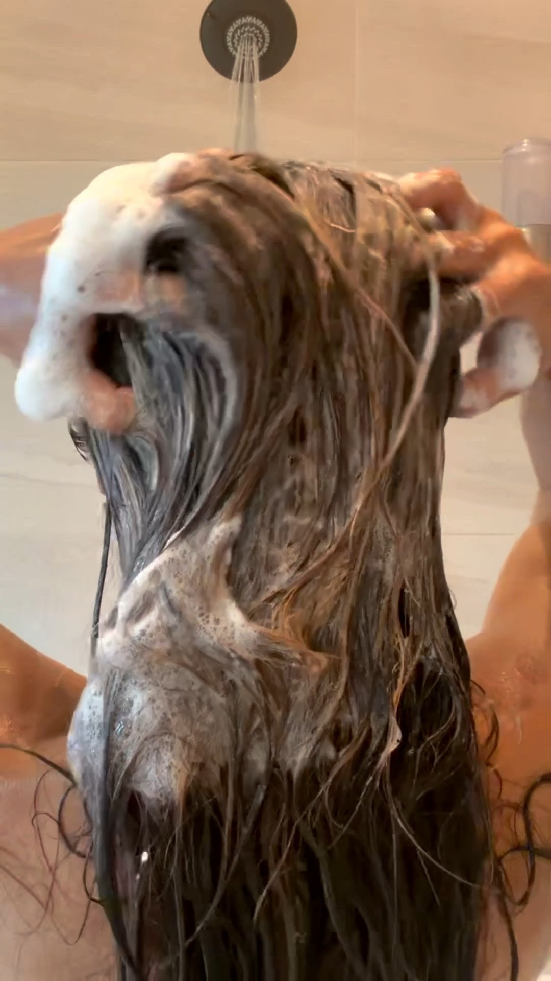 If you have colored hair and you’re struggling to keep it full and moisturized, this video is for you

#LTKgrwm #LTKBeauty #LTKselfcare