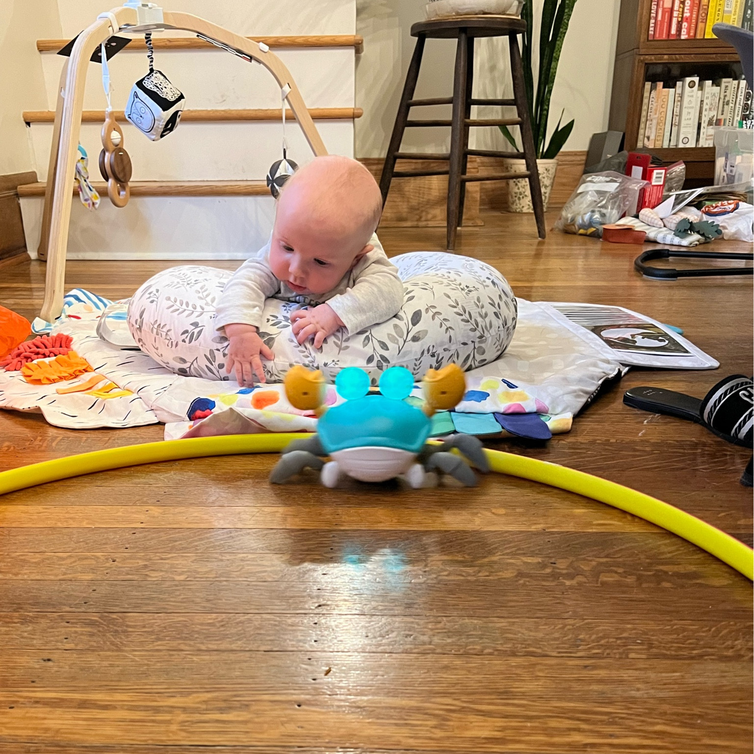 The BEST toy for tummy time! 🙌🏼 on sale today for prime day! A must!!

#LTKxPrimeDay #LTKBaby