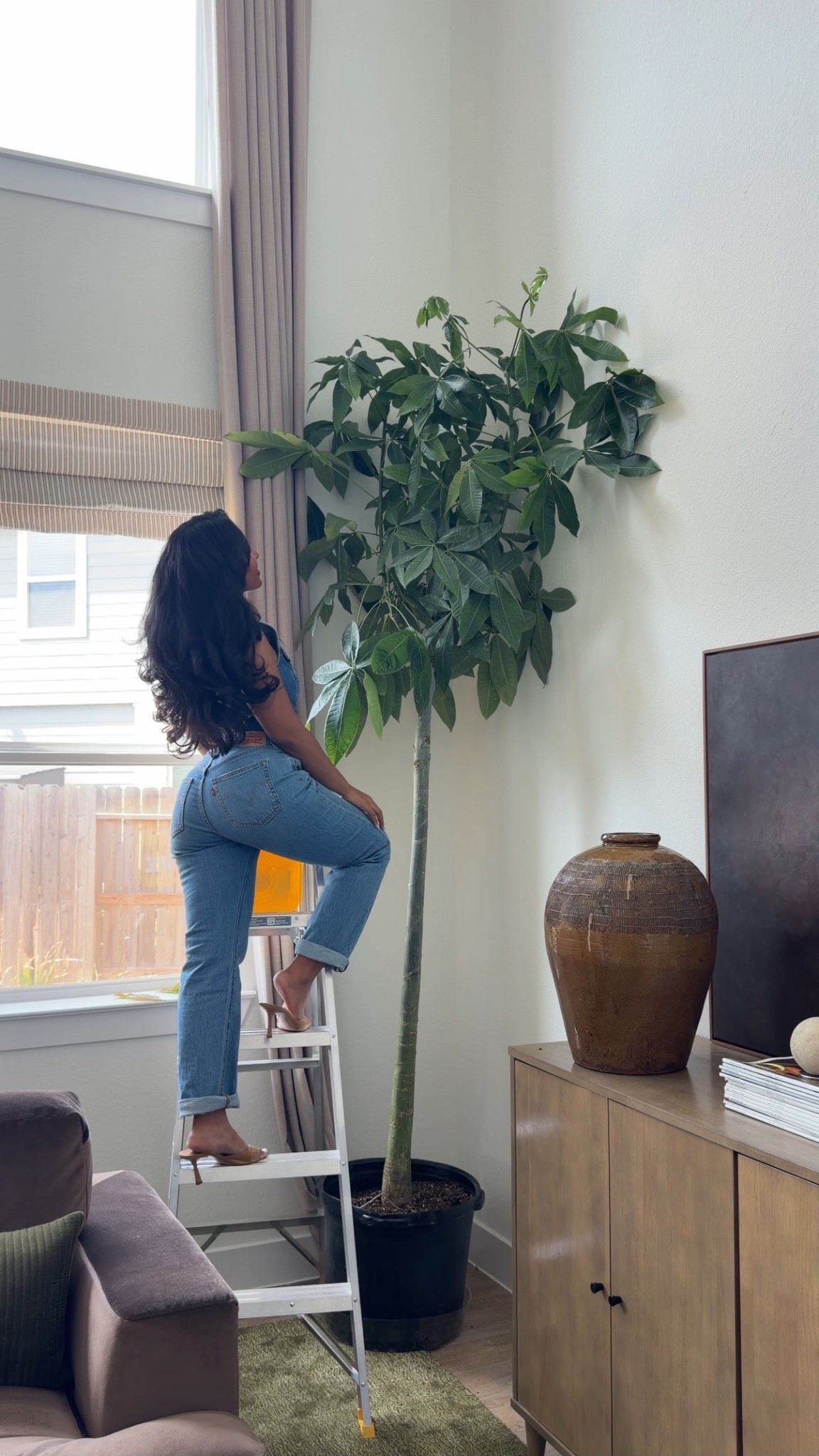 Setting up my new money tree in this all denim look from @Levi's 🌳

#LTKootd #LTKgrwm