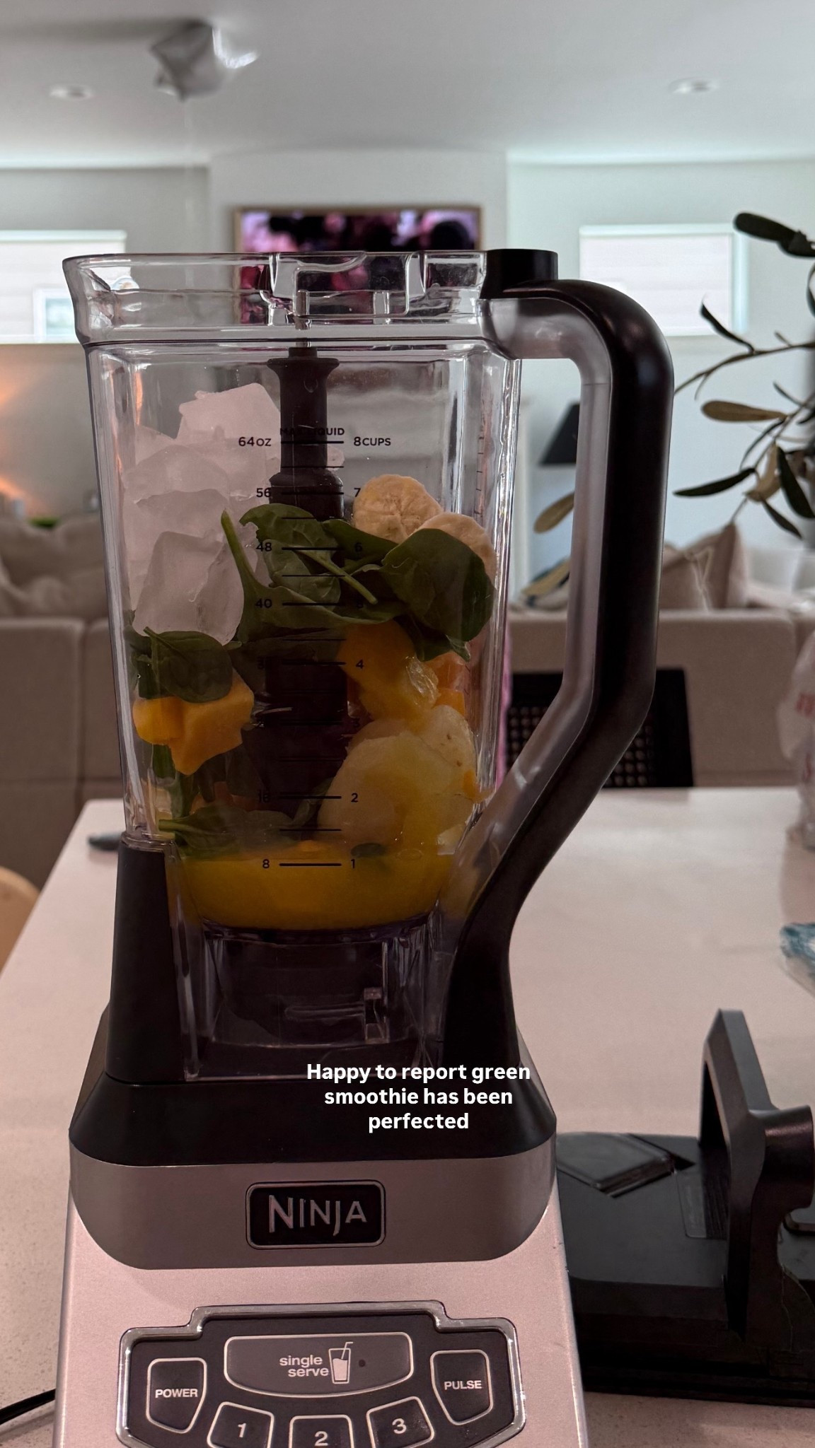 Our blender is under $100! Works so well for smoothies 🍒🍓🍌

#LTKHome