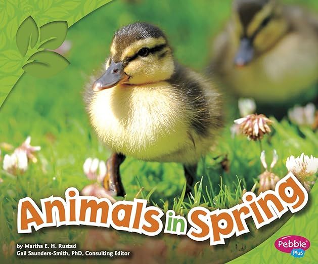 Animals in Spring (All About Spring) | Amazon (US)