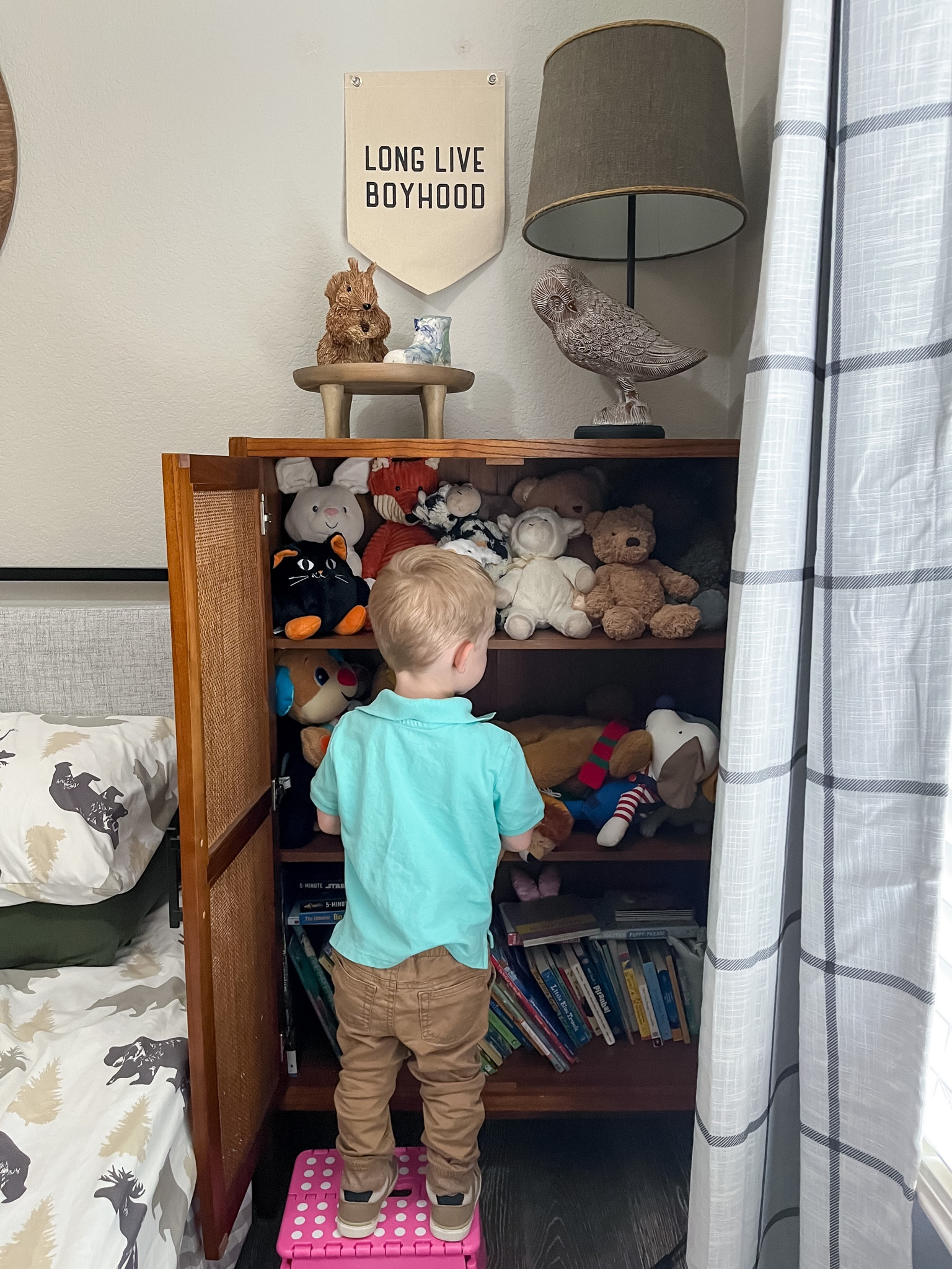 Stuffed animal storage
Kids room book shelf
Toddler boy room
Cabinet
Wicker cabinet 

#LTKhome #LTKfamily #LTKkids