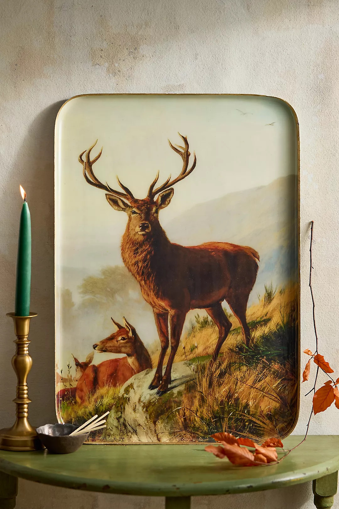 Printed Archival Tray, Extra Large | Anthropologie (US)