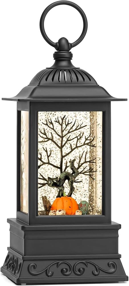 Black Cat Snow Globe Halloween Decorations for Home, Glitter Lantern Lighted Snowglobe Halloween ... | Amazon (US)