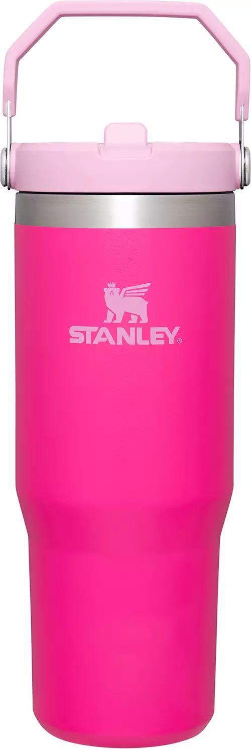 Stanley 30 Oz. IceFlow Tumbler with Flip Straw | Dick's Sporting Goods