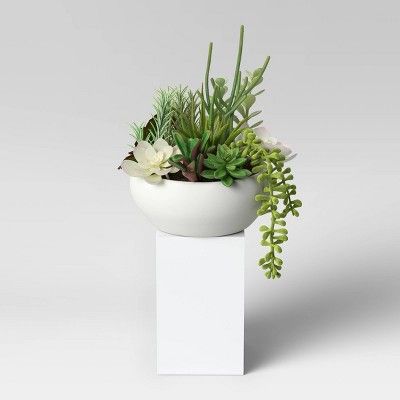 Succulent in Pot Green/White - Project 62™ | Target