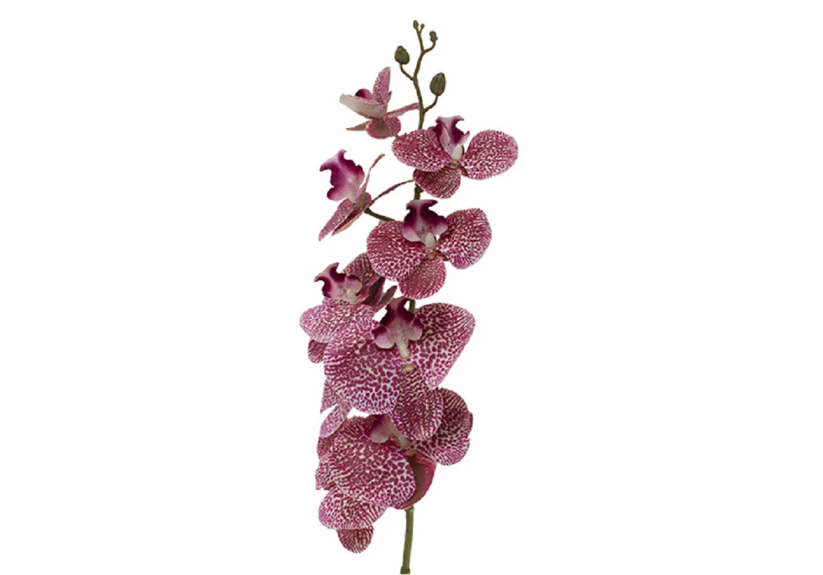 PINK ORCHID STEM | Alice Lane Home Collection