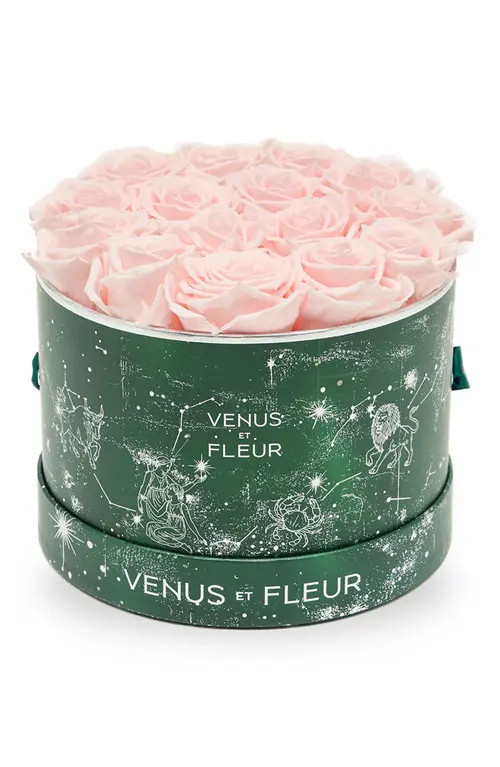 Venus ET Fleur Small Round Holiday Zodiac Pink Eternity Roses® in Blush at Nordstrom | Nordstrom