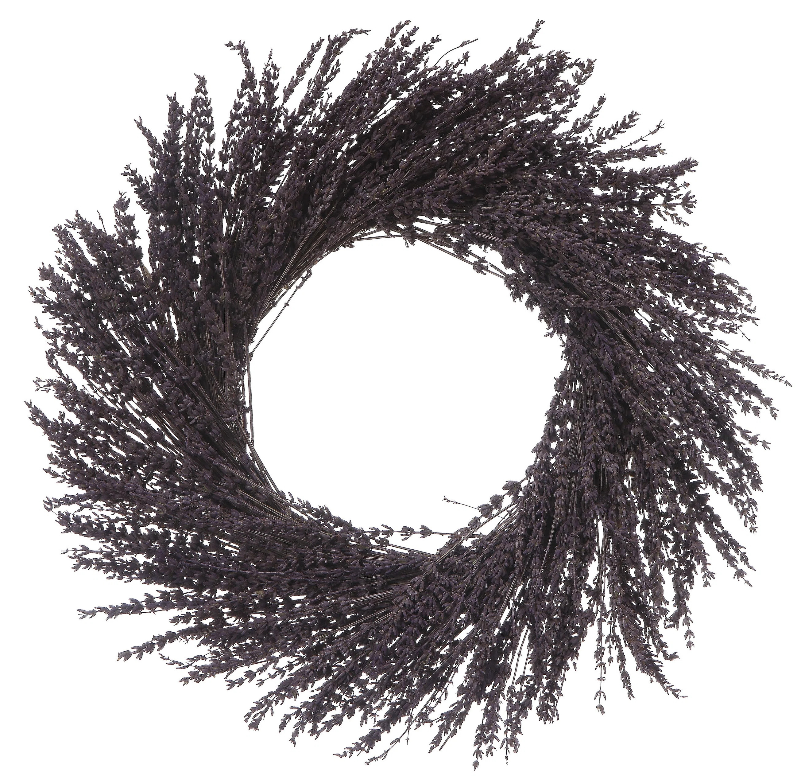 Primrue Preserved 17" Floral Wreath | Wayfair | Wayfair North America