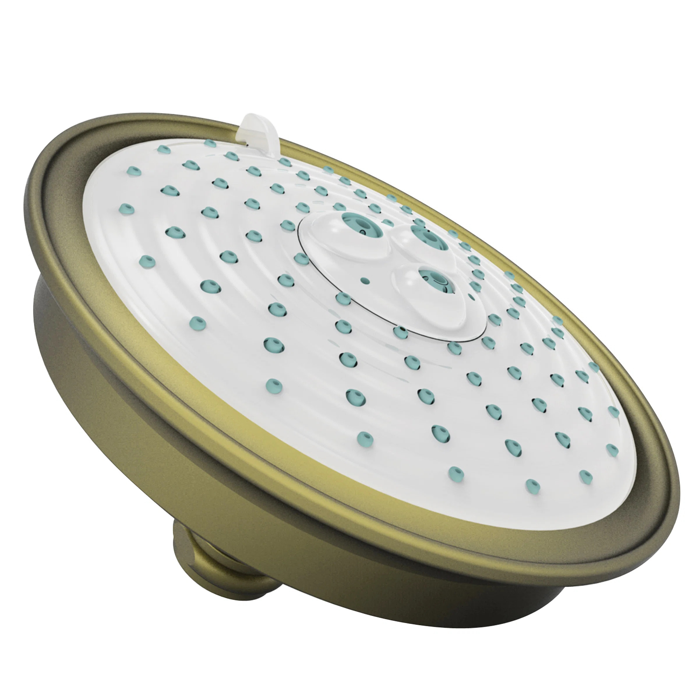 Multi Function Fixed Shower Head 2144/06 | Wayfair North America