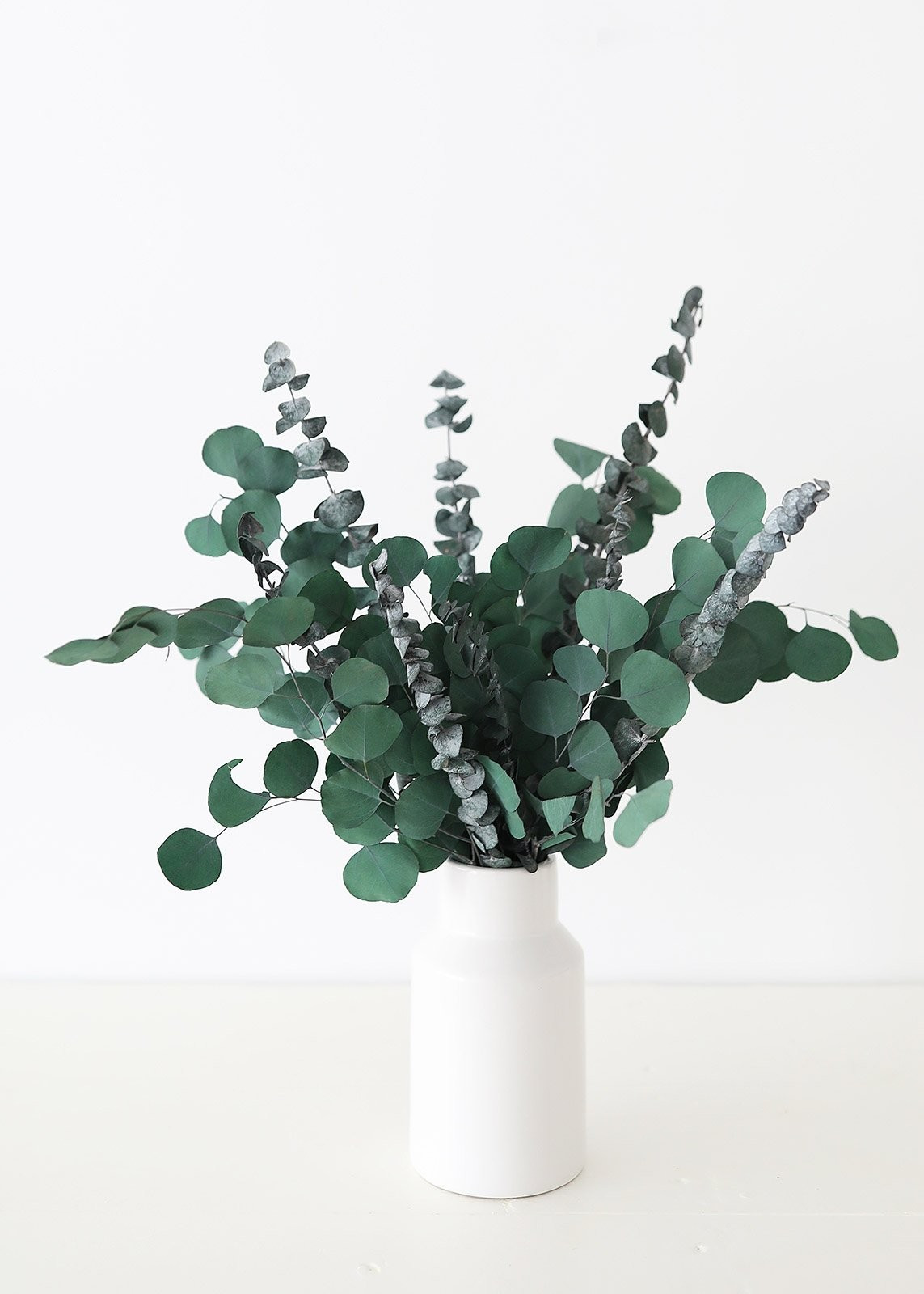 Preserved Mixed Eucalyptus Bundle - 22-32" Tall | Afloral (US)