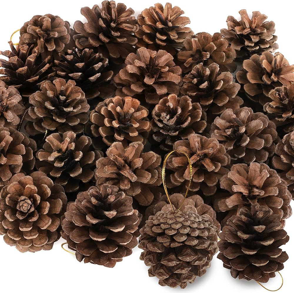 24 PCS Natural Pine Cones, 1.96 IN Pinecone Ornaments, Rustic Pine Cones for Crafts, Winter Decor... | Amazon (US)