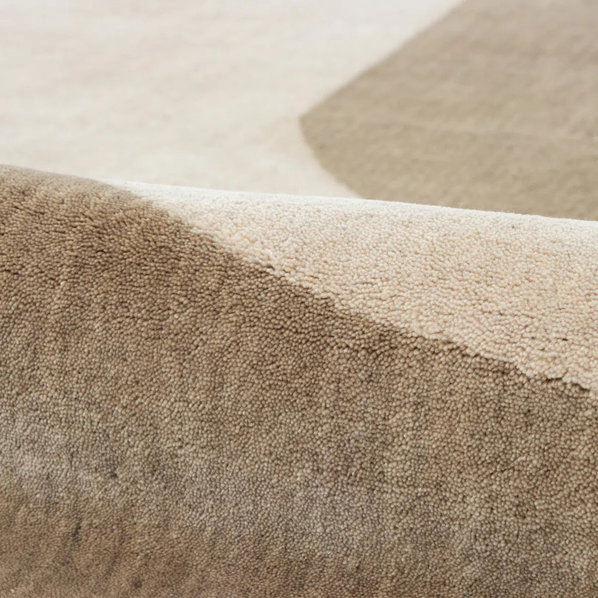 Bhati Hand-loomed Wool Rug | Wayfair North America