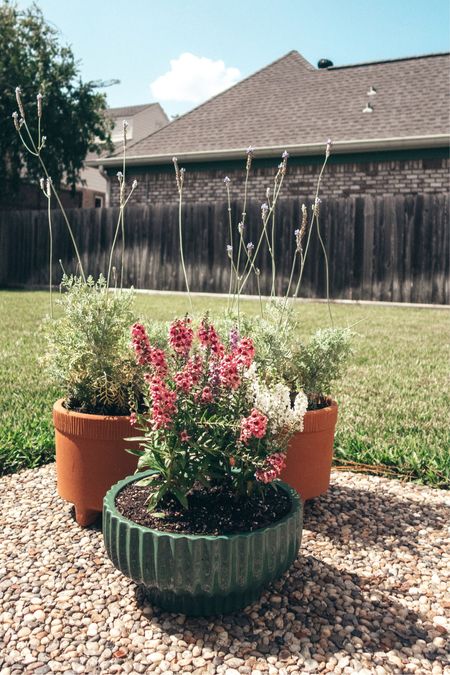 These planters from Walmart are so beautiful and the price point is just too good! 

Walmart finds, Walmart home, home decor, patio decor, backyard decor 

#LTKunder50 #LTKhome #LTKstyletip